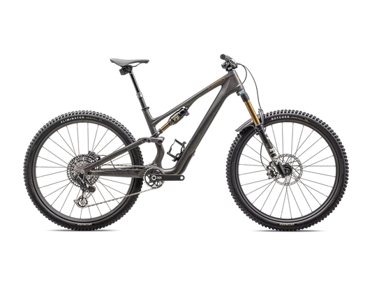 25 S-WORKS STUMPJUMPER 15